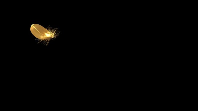 4K. Flying Golden Feather On Black Background. Seamless Looping. 3D Animation. Ultra High Definition. 3840x2160.