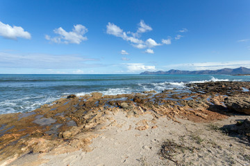 Fototapeta na wymiar Beach of Can Picafort in Mallorca