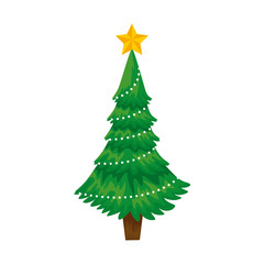 Fototapeta premium pine tree christmas isolated icon vector illustration design