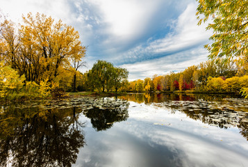Angrignon parc in full fall colors, Quebec, Canada. - 301482467