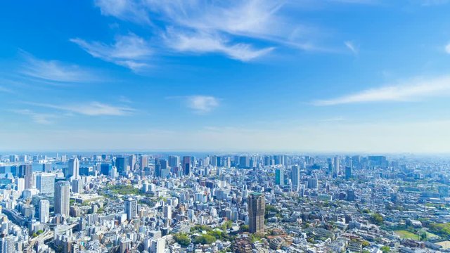 東京　2019　タイムラプス　春　新緑と青空