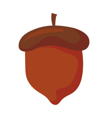 delicious hazelnut on white background