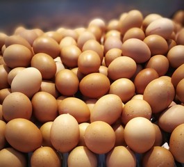eggs on a background