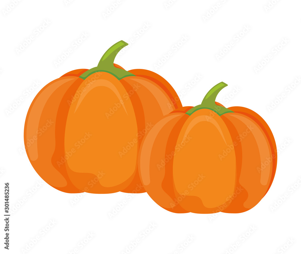 Poster pumpkin in harvest on white background