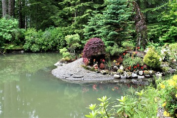 japanese garden with pond and flowers