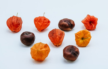 Pyramid of autumn elements like chestnuts, physalis blossoms and flowers
