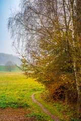 Morning, peacefull, misty country ranch green fields