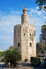 Fototapeta na wymiar Seville Torre del Oro