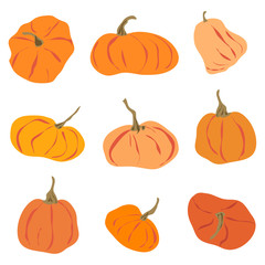 Cartoon pumpkin flat icons set. Thanksgiving and Halloween collection. Farm harvest, closeup vegetable. Different shapes and sizes orange gourd. Colorful simple vector illustration isolated on white