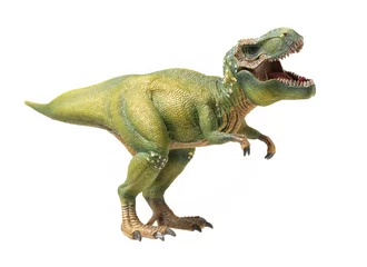 Foto op Canvas green tyrannosaurus on white background © zcy
