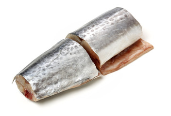 Spanish Mackerel on white background