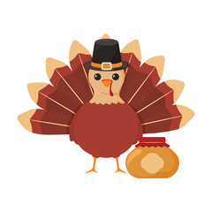 turkey of thanksgiving on white background