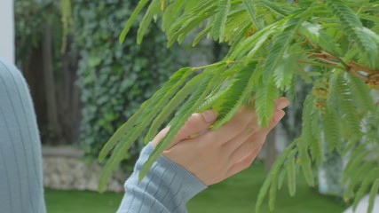 植物・女性の手