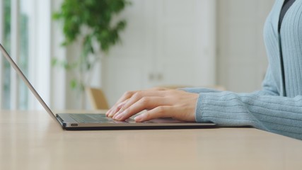 ノートパソコン・若い女性	