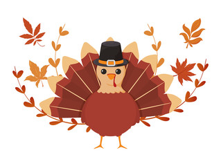 turkey of thanksgiving with autumn leaves on white background