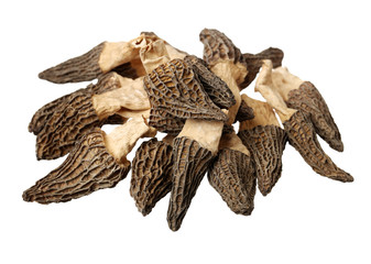 morel mushrooms on white background