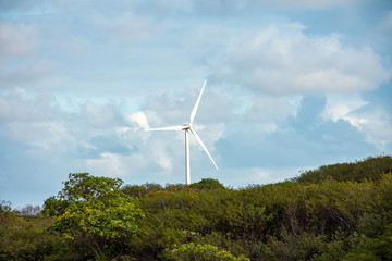 Wind farm producing clean green energy