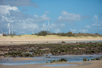Wind farm producing clean green energy
