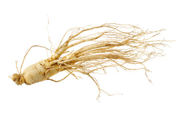 ginseng isolated on white background