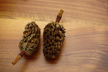Dried magnoila cones on wooden background