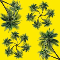Fototapeta na wymiar Green palm leaves pattern for nature concept,tropical coconut tree isolated on yellow background