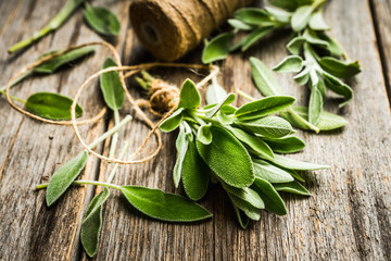 Bunch of fresh green sage leaves on the rustic background. Selective focus. - obrazy, fototapety, plakaty