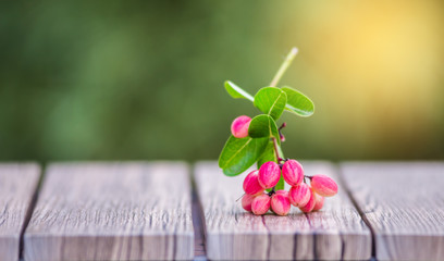 Bengal-Currants Laying on the floor, on a natural background.Bengal-Currants, fermented water in jars, for refreshing drinks.Healthy fruit concept.