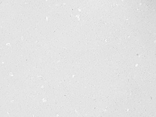 White wall or gray paper texture,abstract cement surface background,concrete pattern,ideas graphic design for web design or banner