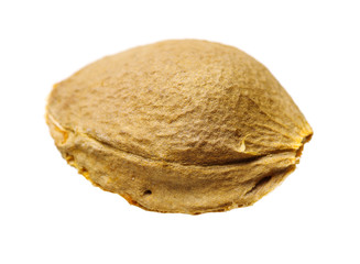 Dry apricot nut on white background