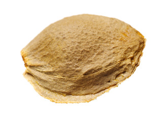 Dry apricot nut on white background