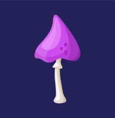 The magic mushroom. Vector illustration.