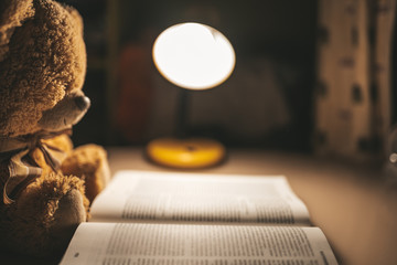 teddy bear reading a book