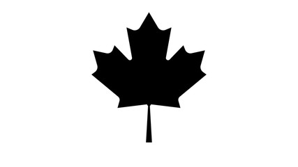 Canadian maple leaf icon isolated. Canada symbol maple leaf.