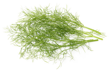 Fennel bunch on white background