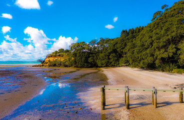 Awhitu REgional Park, Waiuku, New Zealand