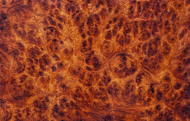 Amboyna burl wood striped Exotic wooden beautiful pattern