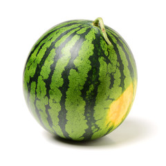 watermelon on white background 