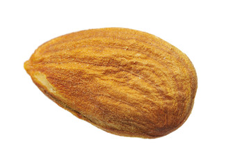 apricot kernel isolated on white background