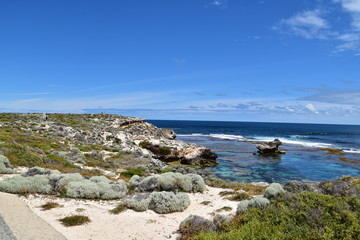 Fototapeta na wymiar Rottnest Island in Western Australia