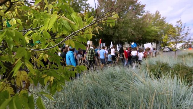 Environmentalists march through beautiful parkland with banners and placards surrounded by trees and tall grass with selective focus