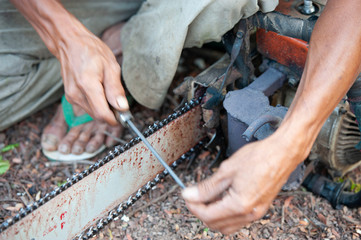 woodcutter technician working by repair service.Repairing chainsaw in forrest.