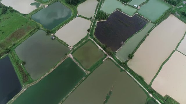 Drone flight over agriculture fields in Thailand Asia.