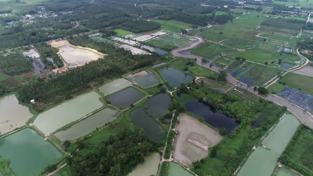 Drone shot of farmer fields and pan up to the horizon