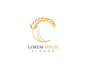 Obraz premium wheat logo template vector icon design