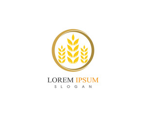 Wheat rice agriculture logo design icon vector template