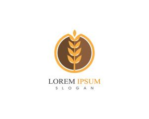 Obraz premium Wheat rice agriculture logo design icon vector template