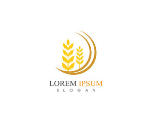 Wheat rice agriculture logo design icon vector template