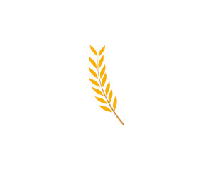 Agriculture wheat rice icon Template vector design