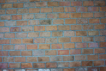 Mon brick wall