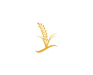 Plakat Agriculture wheat rice icon Template vector design